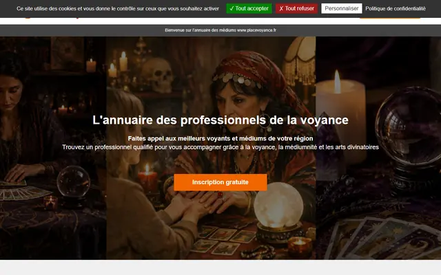 L’accueil de Placevoyance, reproduit à l’identique. La lecture qui suit ne porte que là-dessus.